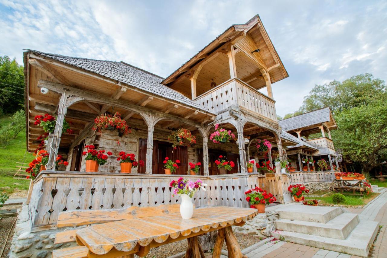 Hotel Casutele Din Moisei Exterior foto